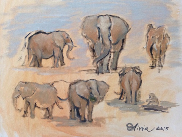 Millisecond studies of Elephants at Seneca Park