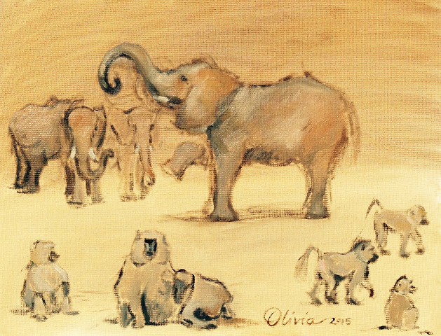 Elephants & Baboons at the Zoo