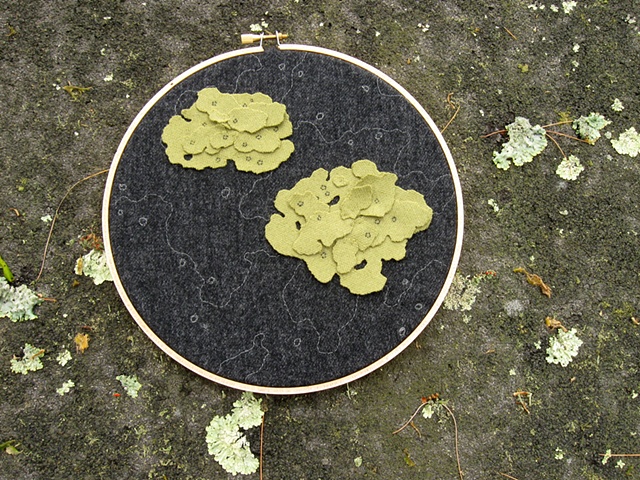 appliqued and embroidered wool lichen wall art made from wool suits and displayed in an embroidery hoop