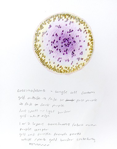 colored pencil drawing of a purple and gold marine diatom by Chelsea Clarke
