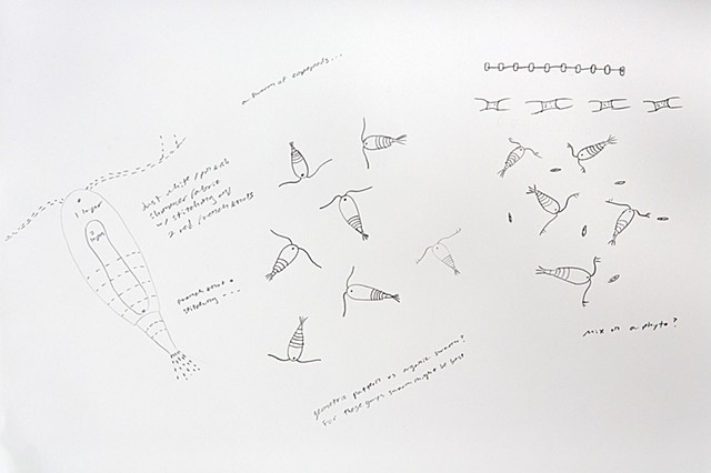 geometric plankton pattern design, repeating copepod pattern by chelsea clarke 