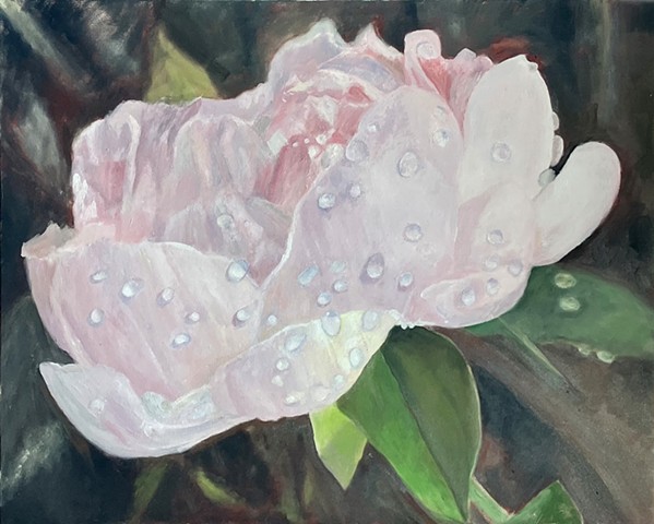 Peony