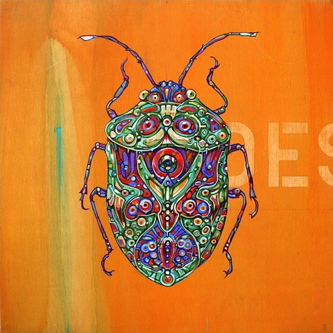 Beetle 6