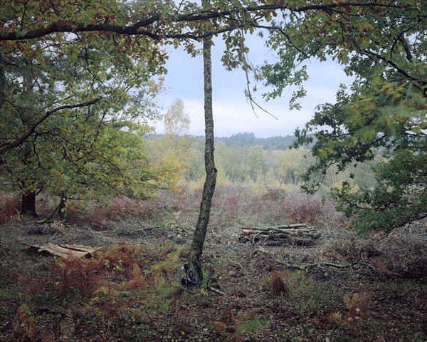 Landscape with Oak Trees & a Hunter