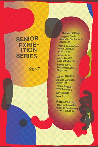 Senior Exhibitions 2017