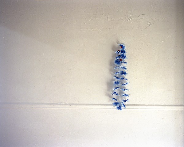Susannah Ray, Lei, Winter, 2005