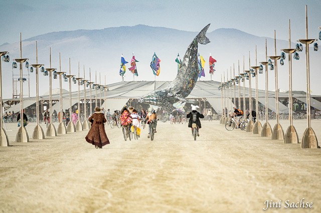 Center Camp, Space Whale, Burning Man, Burning Man 2016