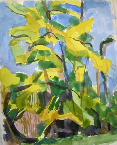 Yellow Trees II