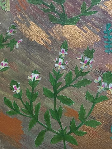 the garden i imagined detail : eyebright