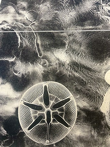 detail, Worlds Beyond Perception