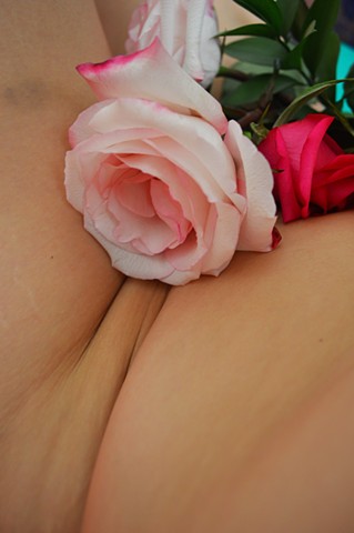 photograph of woman body pink roses floral flower bruise stretch marks by Robyn LeRoy-Evans