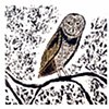THE WATCHER (Barn Owl)