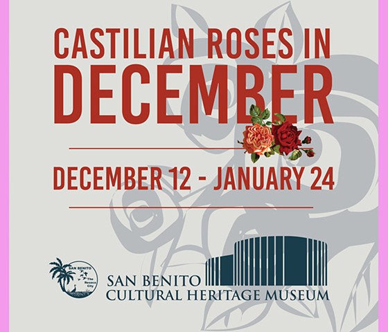 Castilian Roses in December