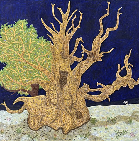 ANCIENT PINE #31