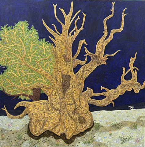 ANCIENT PINE #31