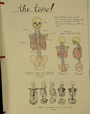 Artistic Anatomy Example 3