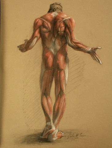 Artistic Anatomy Example 1