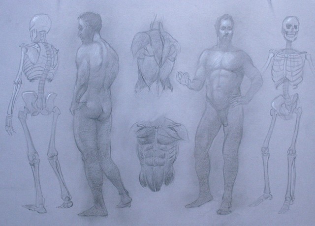 Artistic Anatomy Final Example 7