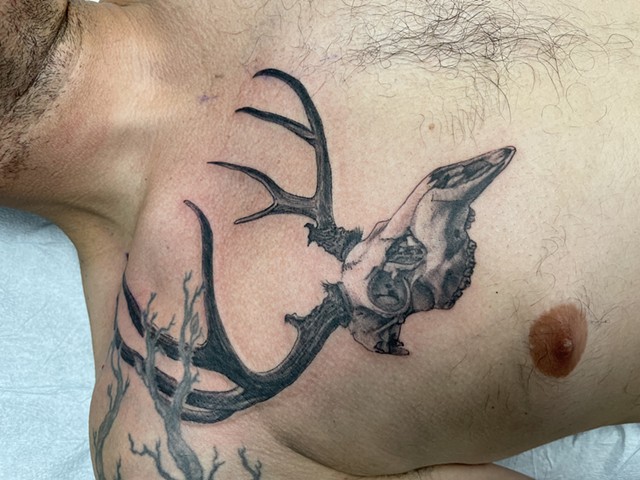 Black and grey realistic nature deer skull tattoo chest pec tattoo Paulo da butcher Portuguese tattoo artist shop Calgary alberta Canada yyc strange world tattoo