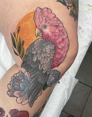 bird tattoo at Strange World Tattoo Calgary Alberta Canada