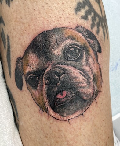 Dog Pet portrait realistic colour tattoo paulo da butcher Portuguese tattoo artist shop Calgary alberta Canada yyc