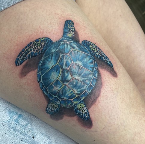 Turtle tattoo animal tattoo strange world tattoo Calgary Alberta 