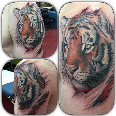 Colour Tiger Tattoo on upper arm Strange World Tattoo Calgary, Alberta Canada