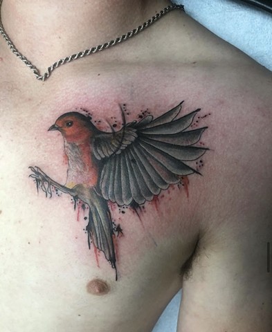 Watercolour tattoo Calgary bird tattoo strange world tattoo Calgary 