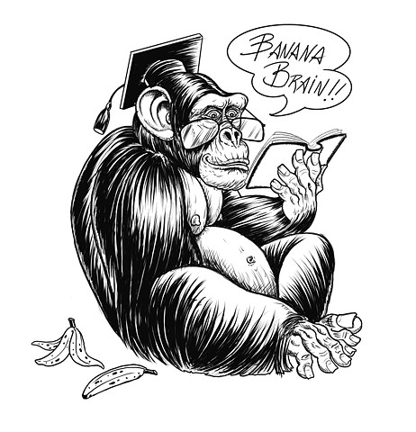 Banana brain chimpanzee up for grabs flash design Paulo strange world tattoo 