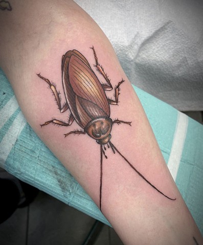 Cockroach tattoo on forearm Strange World Tattoo Calgary Alberta Canada
