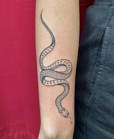 Linework snake
