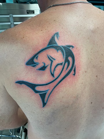 Tribal style shark on shoulder blade