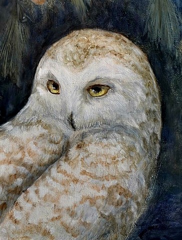 Owl (detail, oil painting)