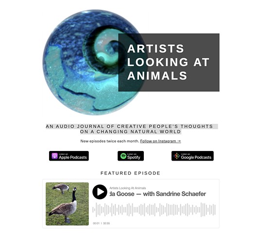 Artists Looking At Animals | Episode 8
