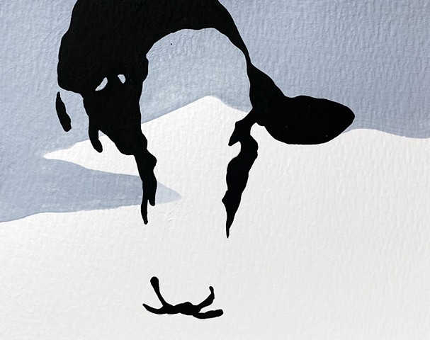 a cow called Green Bean No. 2