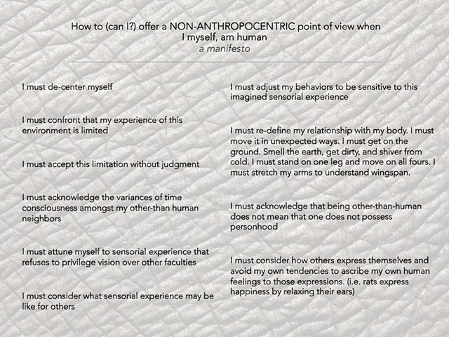 How to (can I?) offer a NON-ANTHROPOCENTRIC point of view when I myself, am human - a manifesto