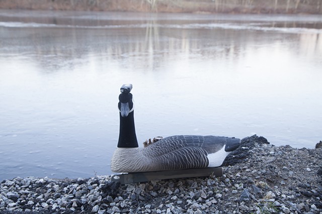 Pace Investigations No. 6.2 (Winter) Goose Cam