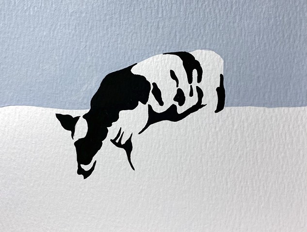 a cow called Alivia