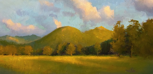 Golden light over a Mountain Meadow
