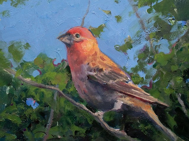 Devin Michael Roberts Art Painting Bird Landscape Oil Artist 