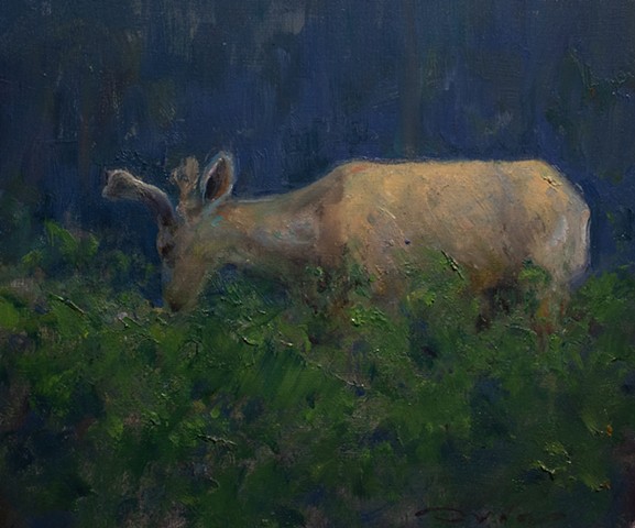 Devin Michael Roberts Paintings Artist Art Elk Wildlife 