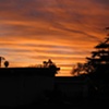 Sunset 2