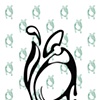 Kaui Seed