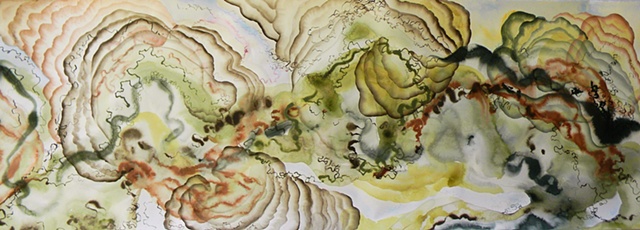 Winding Fields