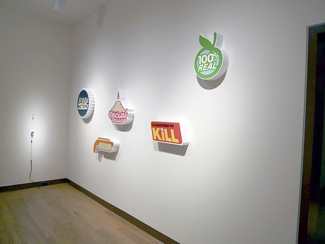 installation image from Vsual Plastic