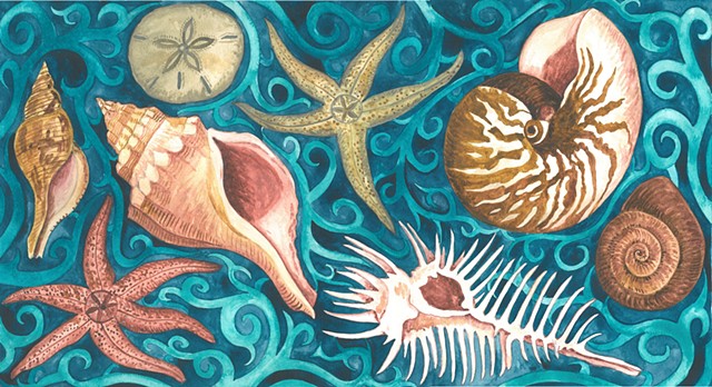 seashells watercolor
