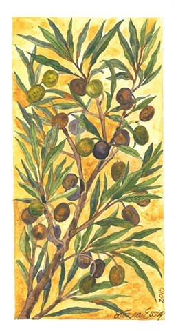 olive branch watercolor