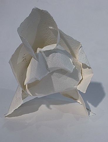 White Paper Construction #2