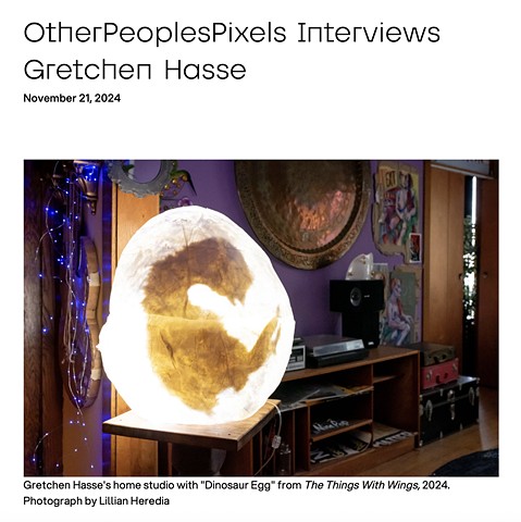 Other People’s Pixels interviews multidisciplinary Chicago artist Gretchen Hasse.