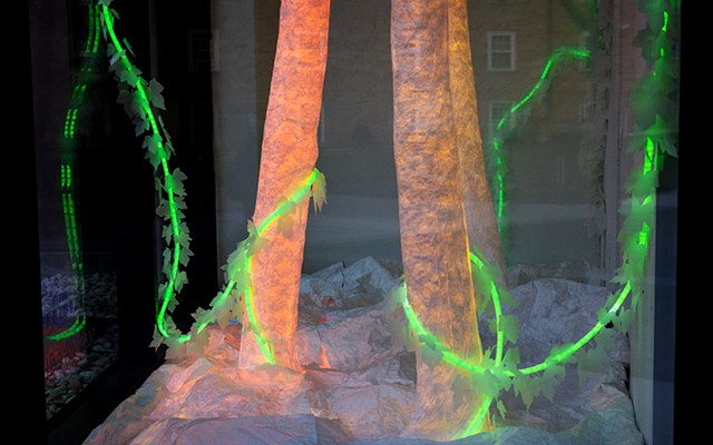  To See the Forest for the Trees 